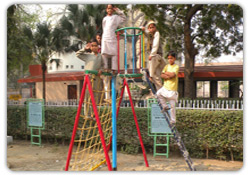 Fitness Equipment - Bird Nest Climber - FE09